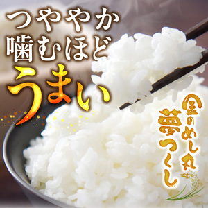 金のめし丸夢つくし　22017　2kg（1袋）　令和7年産 _ 2kg × 1袋 国産 米 福岡県産米 白米 精米 お米 夢つくし オリジナル米 金のめし丸 おいしい ツヤツヤ もちもち ほのかな甘み ご飯 おにぎり 食品 ライス 常温 九州 福岡県 久留米市 お取り寄せ 送料無料  〔Gr076〕