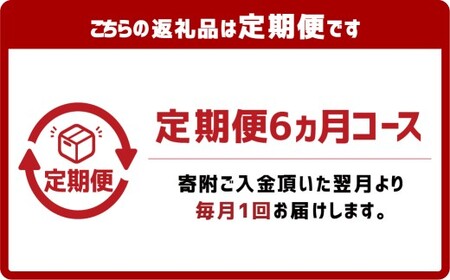 【6ヶ月定期便】かけうどん だし凍らし麺 12人前×6回 うどん 麺類 麺 冷凍 ぶっかけうどん タレ つゆ 岡山県 倉敷市