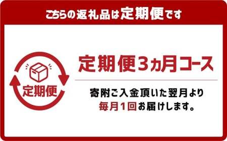 【3ヶ月定期便】『倉敷うどん ぶっかけ』ファミリーセット(半生) 12人前×3回 うどん 麺類 麺 半生 半生麺 ぶっかけうどん タレ つゆ 岡山県 倉敷市