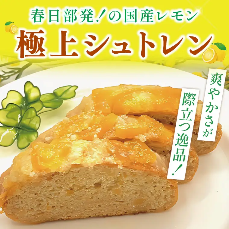 爽やか国産レモンの丸ごとシュトレン～レモンの恵み～【埼玉県　春日部　お菓子　スイーツ　手作り】（DA011）