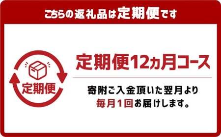 【12ヶ月定期便】『倉敷うどん ぶっかけ』ファミリーセット(半生) 12人前×12回 うどん 麺類 麺 半生 半生麺 ぶっかけうどん タレ つゆ 岡山県 倉敷市
