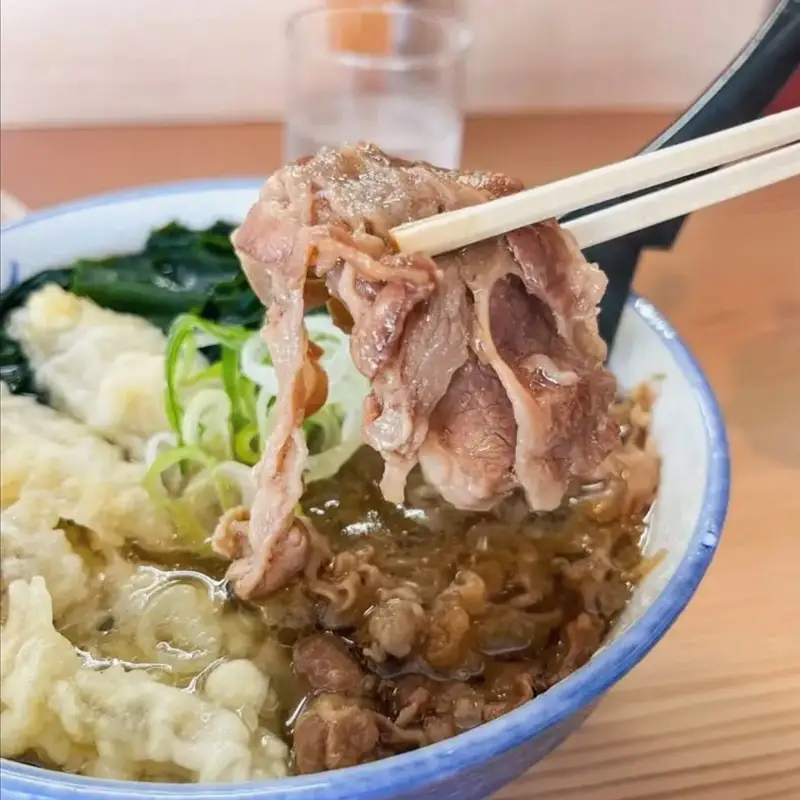 牛丼、肉うどんの具 5袋【A6-037】