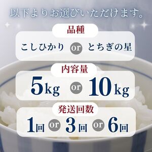 【定期便6回】栃木県産こしひかり 5kg | お米