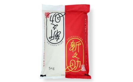 【令和7年産米】新之助 白米 5kg 新潟米 しんのすけ[Y0470]