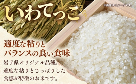 令和7年産 お米 精米 いわてっこ 10kg ブランド米 岩手町産
