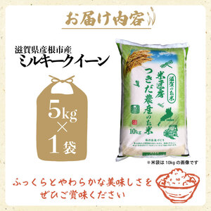 米 【令和7年産 ミルキークイーン 5kg】つきだ農産 ミルキークイーン