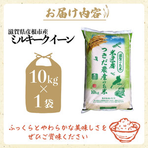 米 【令和7年産 ミルキークイーン 10kg】つきだ農産 ミルキークイーン