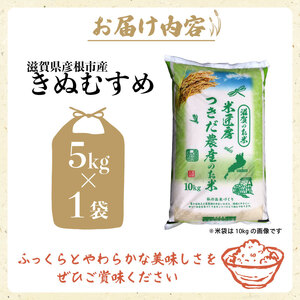 令和7年産 きぬむすめ 白米 5kg