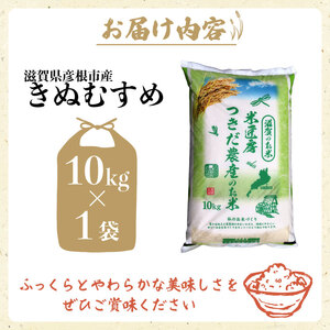 令和7年産 きぬむすめ 白米 10kg
