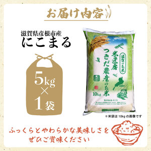 令和7年産 にこまる 白米 5kg
