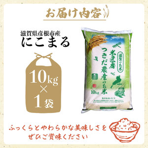 令和7年産 にこまる 白米 10kg