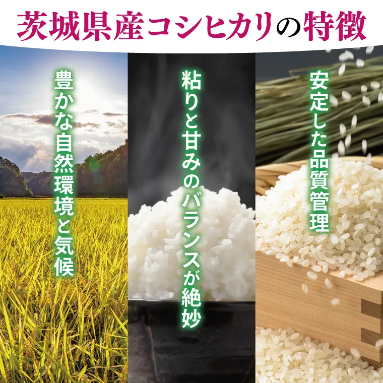 【数量限定】【令和7年産】茨城県産コシヒカリ 10kg(5kg×2袋)(NQ-2)
