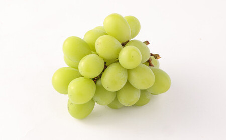 訳あり ご家庭用 シャインマスカット 3パック 約1kg【2026年8月下旬～9月下旬迄発送予定】ぶどう 葡萄 ブドウ 果物 フルーツ