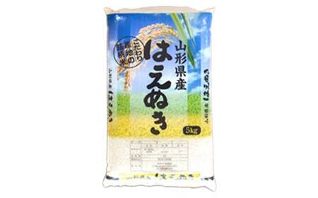 はえぬき 5kg 山形県産 精米 【令和7年産】 F2Y-4603