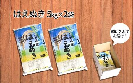 はえぬき 10kg (5kg×2袋) 山形県産 精米 【令和7年産】 F2Y-4604