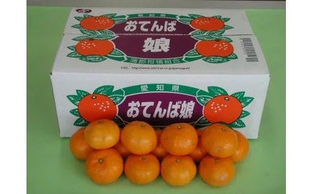 【期間限定】蒲郡みかん「おてんば娘」約５kg_【G0190】