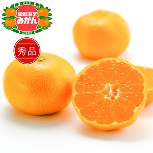 【期間限定】蒲郡温室みかん ５kg（秀品）_【G0356】