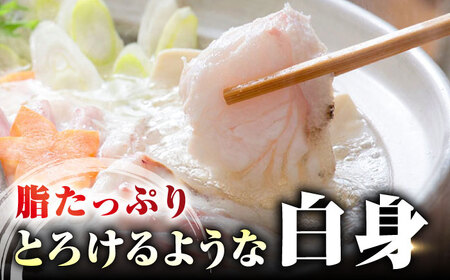 【 対馬産 】 天然 クエ 400g （切り身）《対馬市》【石川水産】 鍋 水炊き 鮮度抜群 海鮮[WAB028]