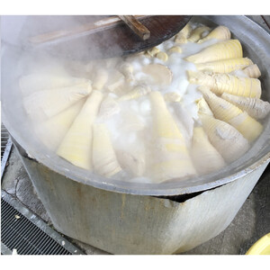 【2026年4月以降順次発送】新鮮即茹で!筍水煮 150g×8袋セット□