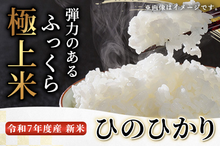 【令和7年度産米】球磨産 ひのひかり 精米 5kg お米 ヒノヒカリ お米 白米 036-0180