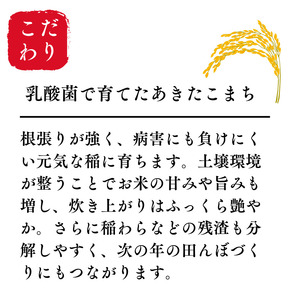令和7年産 あきたこまち 玄米 30kg 秋田県産 湯沢市産 お米 国産 ご飯【BARUバイオジャパン吉村】[Q3-9901]
