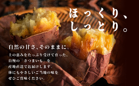 さつまいも 紅はるか 10kg ｜さつまいも【株式会社橋本】