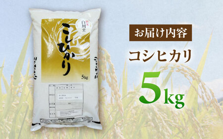 令和7年産 コシヒカリ 5kg 白川町 / 白川町農業開発[AWAH030]