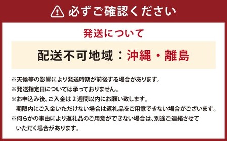 とうもろこし ゴールドラッシュ 6本 [さとう農園 山梨県 中央市 21471040] トウモロコシ スイートコーン 甘い コーン 野菜 【2026年6月下旬～7月下旬発送予定】