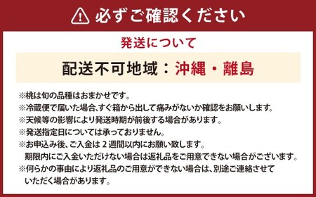 桃 山梨県産 桃 3kg 品種おまかせ   [さとう農園 山梨県 中央市 21471042] 白桃 白鳳 もも モモ フルーツ 果物 くだもの 【2026年7月上旬～9月上旬発送予定】