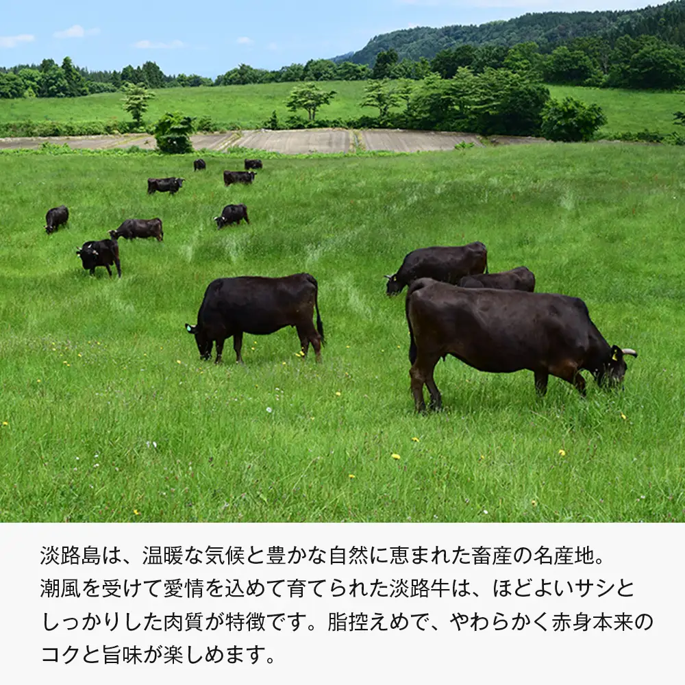 【定期便6ヶ月】淡路牛 赤身三種食べ比べ（すき焼き・ステーキ・焼肉） 定期便
