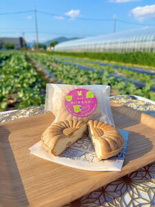 最中 焼き芋がゴロゴロ入った アイス最中 10個セット
