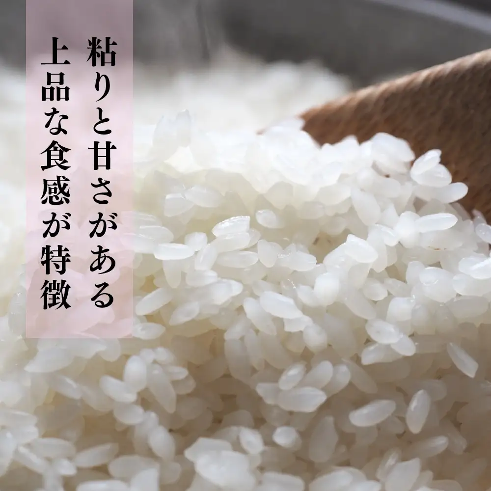 【令和8年産 新米 先行受付】ひよくもち10kg(5kg×2) 農園(H061D28)