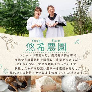 【A93003】令和7年産 鹿児島県産 なつほのか そら米 (計5kg・5kg×1袋) 第9回九州のお米食味コンクール 金賞受賞 ! 国産 国産米 産地直送 自家精米 精米 白米 ごはん ご飯 お米 コメ こめ 【悠希農園】