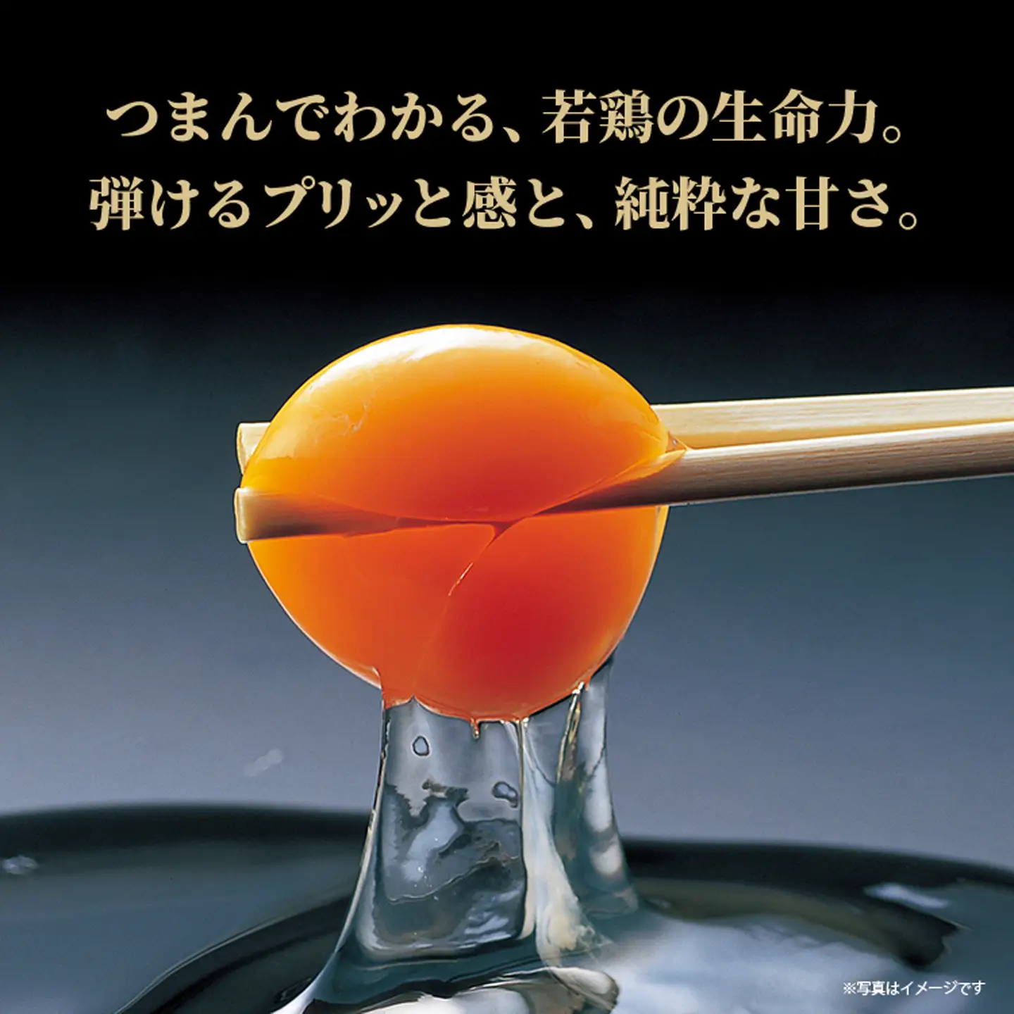 まろやかなコクと甘み！多久産 滋養卵 40個 卵 若鶏の滋養卵 _a-92