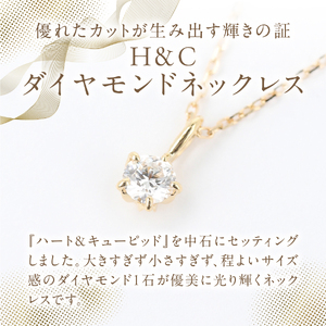 F-015 ダイヤモンド ネックレス（H＆C）PT950/PT850 プラチナ ジュエリー