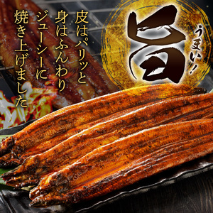 うなぎの蒲焼き1尾_うなぎ 蒲焼き 1尾 約170g こだわり 製法 皮 パリッと 身 ジューシー 真空パック うなぎ本来 食感 甘み 香り タレ 湯煎 電子レンジ 簡単調理 冷凍 国産 食品 加工品 うな丼 うな重 ひつまぶし おつまみ 贈り物 お取り寄せ 福岡県 久留米市 送料無料 〔Cu014〕