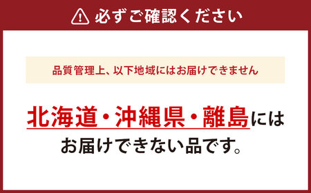 【先行予約】とうもろこし ドルチェドリーム 10本 [マルヨシ園芸 山梨県 中央市 21470552] 朝採り 新鮮 期間限定 トウモロコシ 甘い ジューシー 野菜 農家直送 【2026年6月下旬～7月上旬発送予定】