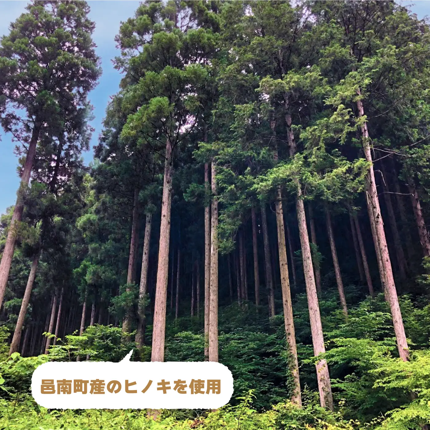ヒノキ 木工 コンポスト ガーデニング