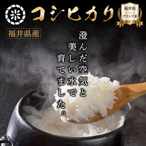 コシヒカリ 無洗米 3kg（1kg×3）令和7年産 [095-a313]
