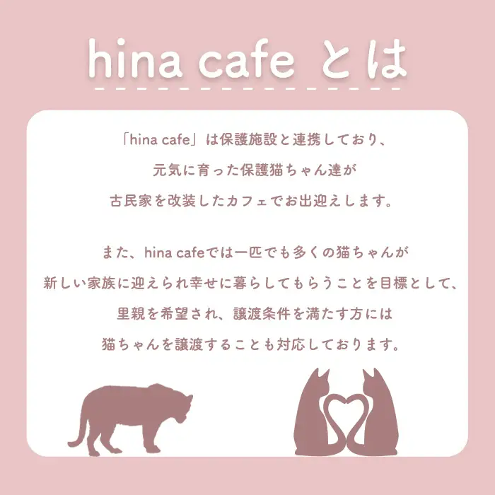 猫ルーム1時間利用チケット1枚 ／ hinacafe 猫カフェ 保護猫 遊び 触れ合い 写真撮影 まったり 癒し 山口県 No.200
