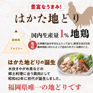 はかた地どり 手羽元カレーギフト_はかた地どり 手羽元 カレー ギフト レトルト 210g × 5袋 地鶏 旨味 完熟 トマト ガラスープ 煮込む レンチン可 湯煎可能 電子レンジ可能 簡単調理 時短 備蓄 保存食 食品 加工食品 お取り寄せ 福岡県 久留米市 送料無料 〔Ax104〕