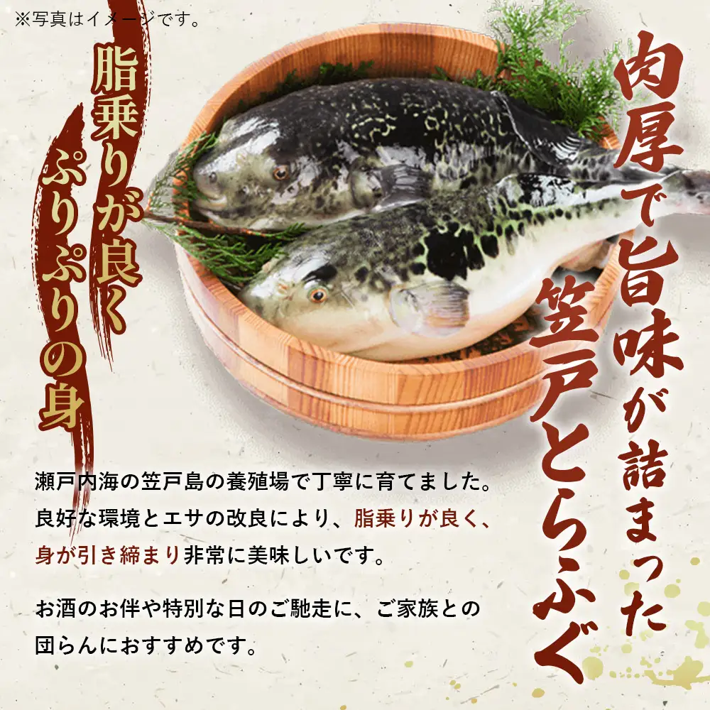 笠戸とらふぐ（加熱調理用） ／ トラフグ 料理 魚 山口県 No.185