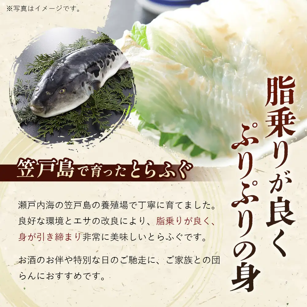 下松産　とらふぐお刺身（陶器皿）約2～3人前【引換券】 ／ お造り フグ 養殖 山口県 特産品 No.095
