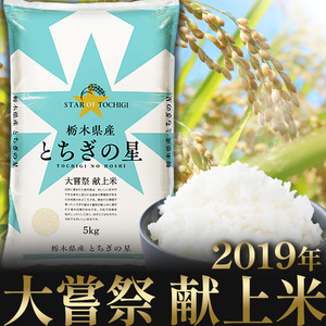 栃木県産 とちぎの星 5kg | 栃木県 下野市