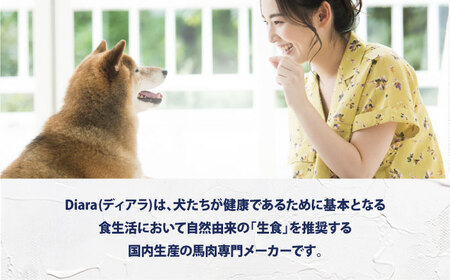 【全12回定期便】【犬猫用・ペット用】馬肉パーフェクトプラス　800g×1袋(80g×10本)　ペットフード　馬肉ペットフード　【ディアラ】[AKGU007]