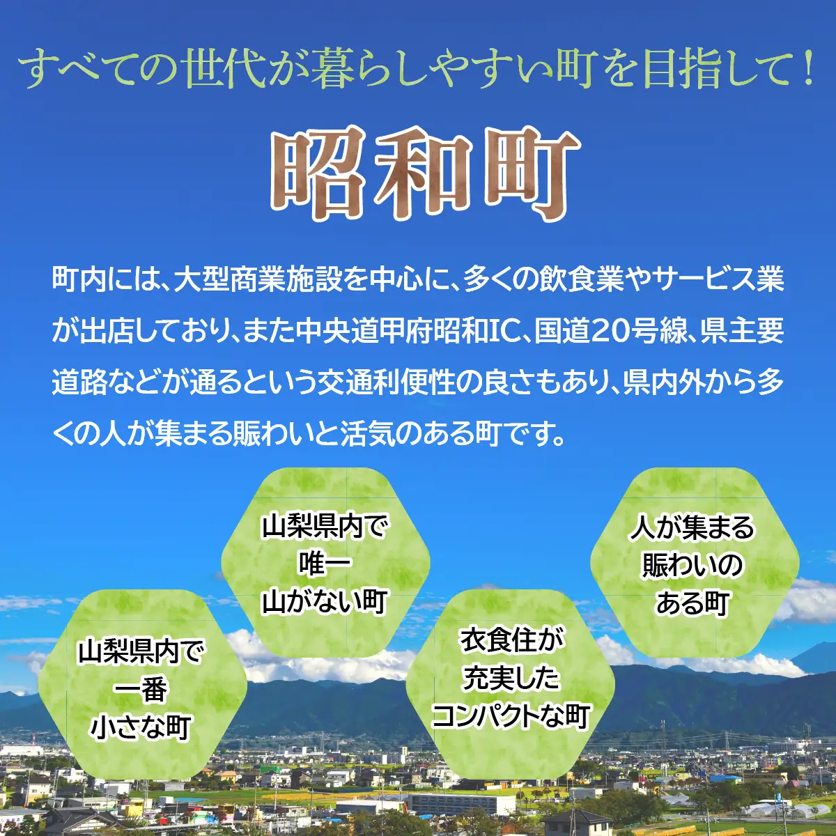 山梨県昭和町 応援寄附＜3,000円＞※返礼品なし SW001-2