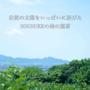 柿の葉茶 薪火焙煎深煎り２袋セット《総本家　平宗吉野本店》