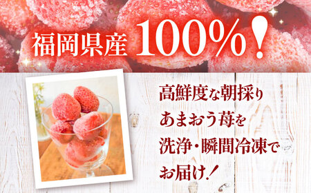 【訳あり】福岡県産 冷凍あまおう500g(250g×2個) [VEG011]いちご 苺 イチゴ 取り寄せ