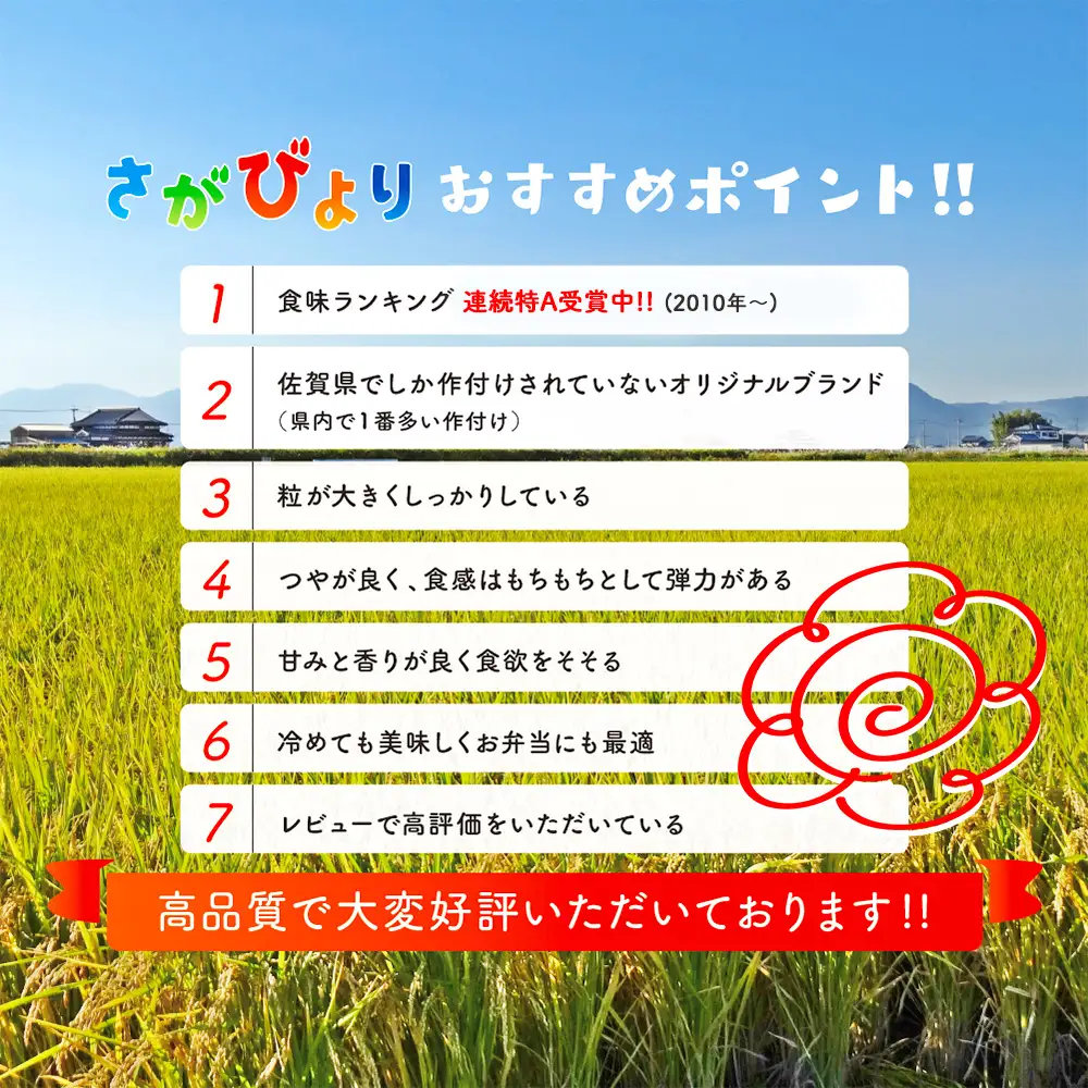 【令和7年産】ごはんソムリエが厳選 白米 さがびより 5kg(H063157)