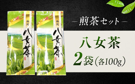 八女茶 煎茶セット 100g×2袋 [VEH016]